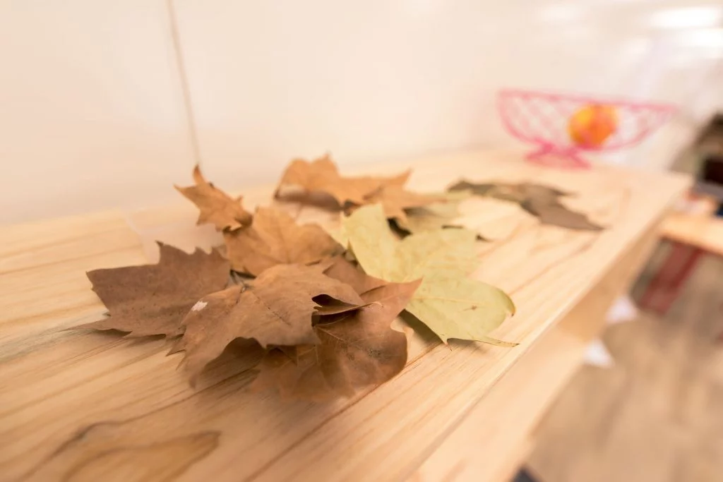 Feuilles d'octobre